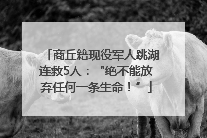商丘籍现役军人跳湖连救5人：“绝不能放弃任何一条生命！”