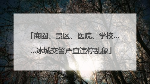 商圈、景区、医院、学校……冰城交警严查违停乱象
