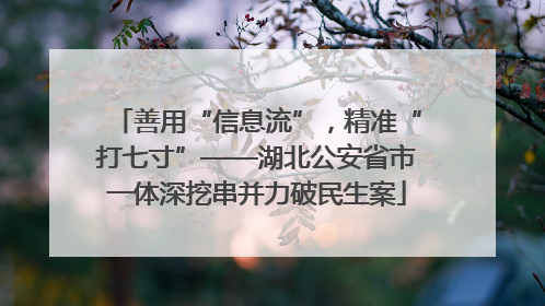 善用“信息流”，精准“打七寸”——湖北公安省市一体深挖串并力破民生案
