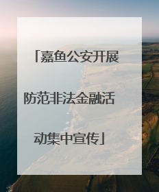 嘉鱼公安开展防范非法金融活动集中宣传