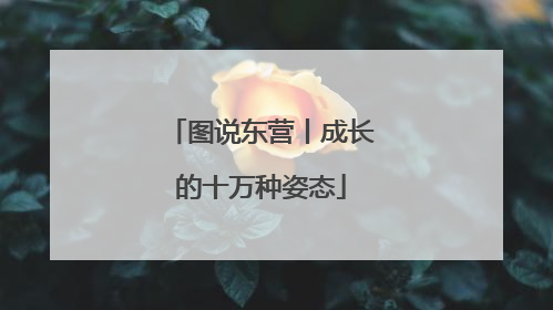 图说东营丨成长的十万种姿态