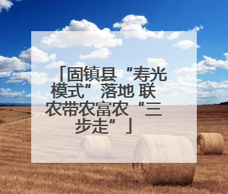 固镇县“寿光模式”落地 联农带农富农“三步走”