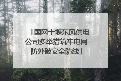 国网十堰东风供电公司多举措筑牢电网防外破安全防线