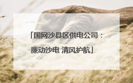 国网沙县区供电公司：廉动沙电 清风护航