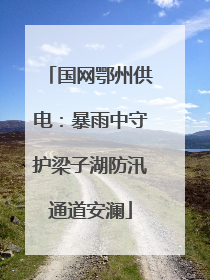 国网鄂州供电：暴雨中守护梁子湖防汛通道安澜