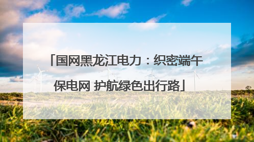 国网黑龙江电力：织密端午保电网 护航绿色出行路