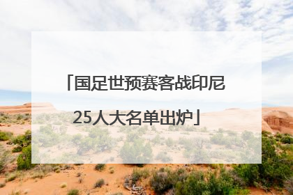 国足世预赛客战印尼25人大名单出炉