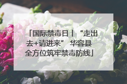 国际禁毒日丨“走出去+请进来” 华容县全方位筑牢禁毒防线