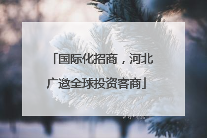 国际化招商，河北广邀全球投资客商