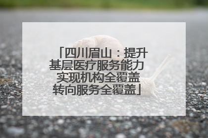 四川眉山：提升基层医疗服务能力 实现机构全覆盖转向服务全覆盖