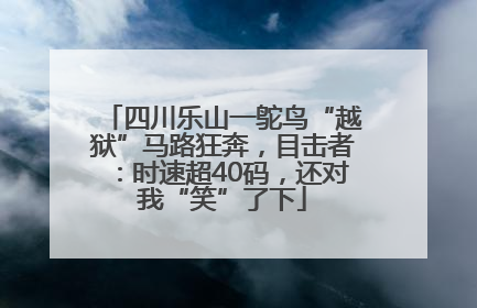 四川乐山一鸵鸟“越狱”马路狂奔,目击者:时速超40码,还对我“笑”了下