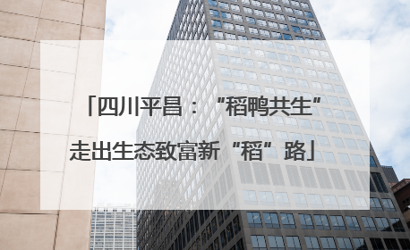 四川平昌：“稻鸭共生”走出生态致富新“稻”路