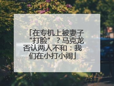 在专机上被妻子“打脸”？马克龙否认两人不和：我们在小打小闹