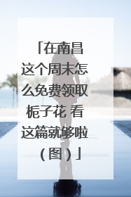 在南昌 这个周末怎么免费领取栀子花 看这篇就够啦（图）