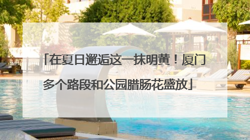在夏日邂逅这一抹明黄！厦门多个路段和公园腊肠花盛放