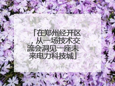 在郑州经开区，从一场技术交流会洞见一座未来电力科技城