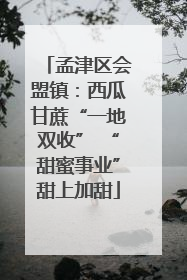 孟津区会盟镇：西瓜甘蔗“一地双收” “甜蜜事业”甜上加甜