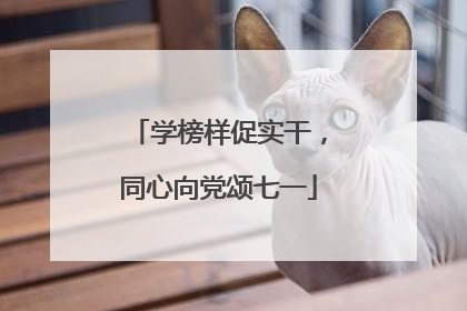 学榜样促实干，同心向党颂七一