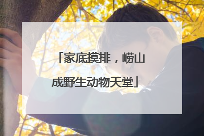 家底摸排，崂山成野生动物天堂