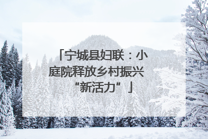 宁城县妇联：小庭院释放乡村振兴“新活力”