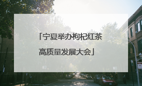 宁夏举办枸杞红茶高质量发展大会