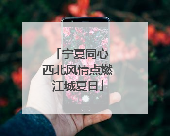 宁夏同心 西北风情点燃江城夏日