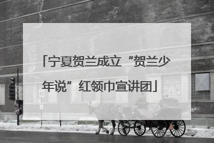 宁夏贺兰成立“贺兰少年说”红领巾宣讲团
