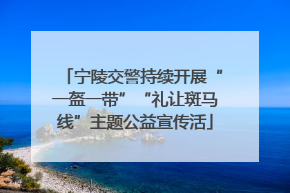 宁陵交警持续开展“一盔一带”“礼让斑马线”主题公益宣传活