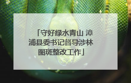 守好绿水青山 漳浦县委书记督导涉林图斑整改工作