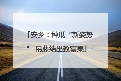 安乡：种瓜“新姿势” 吊藤结出致富果