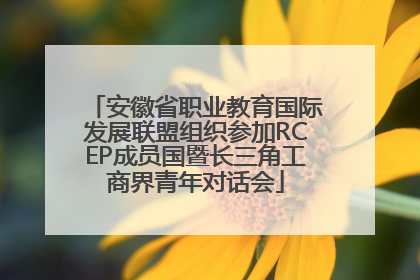 安徽省职业教育国际发展联盟组织参加RCEP成员国暨长三角工商界青年对话会