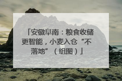 安徽阜南：粮食收储更智能，小麦入仓“不落地”（组图）