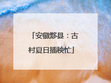 安徽黟县：古村夏日插秧忙