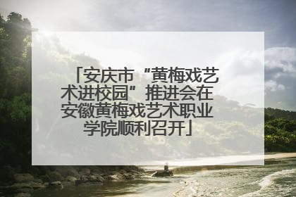 安庆市“黄梅戏艺术进校园”推进会在安徽黄梅戏艺术职业学院顺利召开