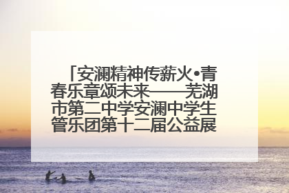 安澜精神传薪火•青春乐章颂未来——芜湖市第二中学安澜中学生管乐团第十二届公益展演圆满举行
