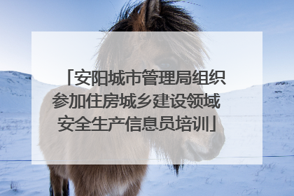 安阳城市管理局组织参加住房城乡建设领域安全生产信息员培训