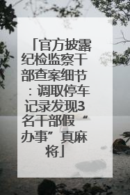 官方披露纪检监察干部查案细节：调取停车记录发现3名干部假“办事”真麻将