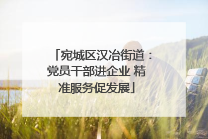 宛城区汉冶街道：党员干部进企业 精准服务促发展