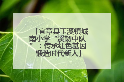 宜章县玉溪镇城南小学“溪韧中队”：传承红色基因 锻造时代新人