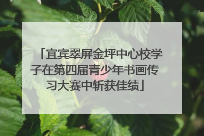 宜宾翠屏金坪中心校学子在第四届青少年书画传习大赛中斩获佳绩