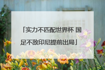 实力不匹配世界杯 国足不敌印尼提前出局