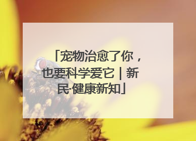 宠物治愈了你，也要科学爱它｜新民·健康新知