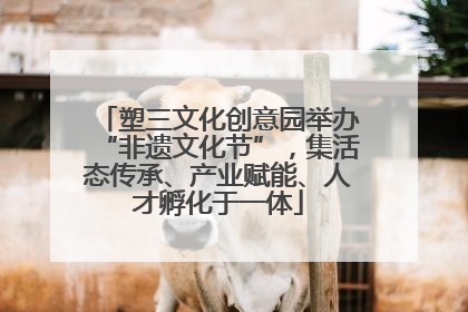 塑三文化创意园举办“非遗文化节”，集活态传承、产业赋能、人才孵化于一体