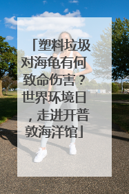 塑料垃圾对海龟有何致命伤害？世界环境日，走进开普敦海洋馆