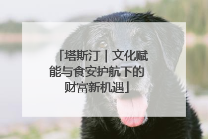 塔斯汀｜文化赋能与食安护航下的财富新机遇