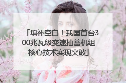 填补空白！我国首台300兆瓦级变速抽蓄机组核心技术实现突破