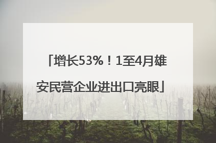 增长53%！1至4月雄安民营企业进出口亮眼