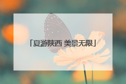 夏游陕西 美景无限