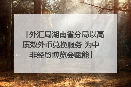 外汇局湖南省分局以高质效外币兑换服务 为中非经贸博览会赋能
