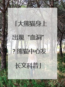 大熊猫身上出现“血洞”？熊猫中心发长文科普